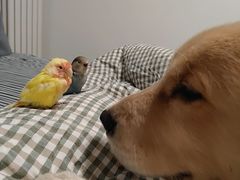 -原西四小吃(马连道店)