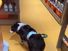 -MARSMART PETS火星宠物超市(1733店)