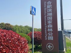 -合肥滨湖国家森林公园