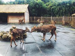 景点-金沙遗址博物馆