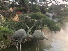 -罗红摄影艺术馆