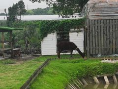 -美家乐农庄·露营·团建(大治路店)