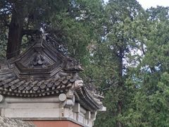 -北京西山国家森林公园