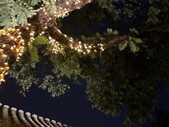 -SUSU·苏苏(四合院创始店)