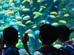 -金豆子幼稚园