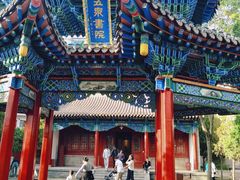 -雁滩公园