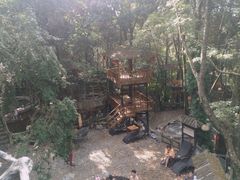 -天门沟九州驿站树上汤泉