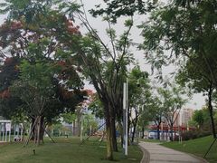 -白石龙音乐公园