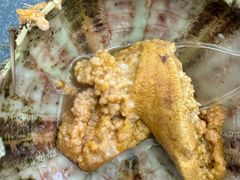 -海胆小馆(东北水饺·春柳店)