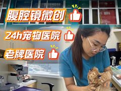 -美联众合动物医院·24h京西诊疗中心