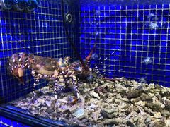 -青蓬蒸汽海鲜·深圳老字号·团建聚会(壹方城店)