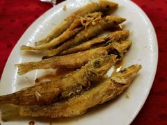 -蛇口康乐快餐鱼仔档(翠苑小区店)