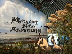 -中国湿地博物馆