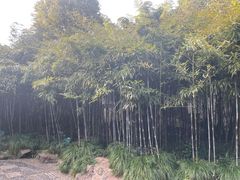 -杭州黄龙洞