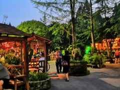 -青城甲(青城山店)