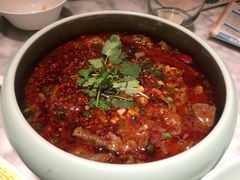 -雀蓝川菜(奥体广场店)