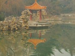 -西苑公园