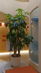 -爱弥儿月子中心(省医院店)