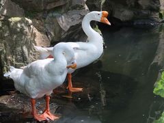-兰亭风景区