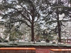 -中国人民解放军总医院