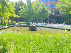 -北京市海淀外国语实验学校
