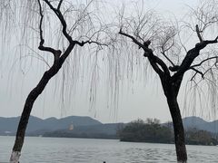 -楼外楼(西湖景区孤山路店)