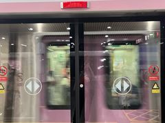 -大望路(地铁站)