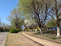 -永定河休闲森林公园