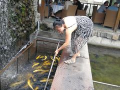 -京北渔家傲