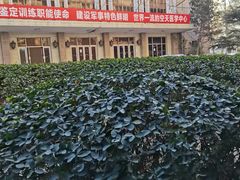 -中国人民解放军空军特色医学中心(空军总医院)