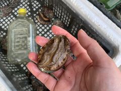 -东方国际水产中心-停车场