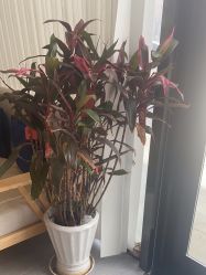 -和颜一美轻医美连锁