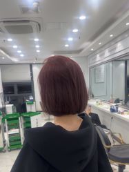 -镁连社·美联社