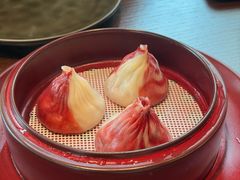 -随堂里