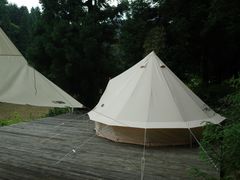 -武陵山森林公园