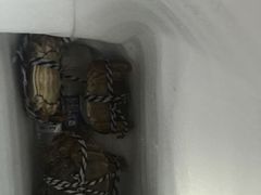 -喜洋洋蟹庄(阳澄湖店)