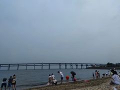 -星海湾跨海大桥