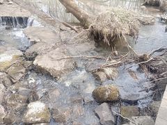 -香炉山国家森林公园