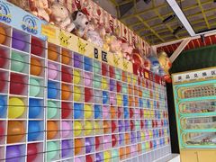 -珠海海泉湾神秘岛亲子乐园