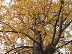 -金堂县云顶石城风景区