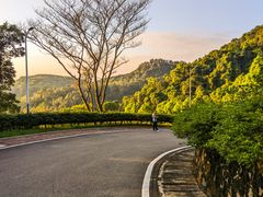 -火炉山森林公园