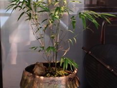 -卯时·龙光雅宴·精致锡帮菜(惠山古镇店)
