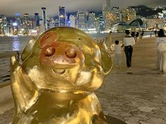 -星光大道