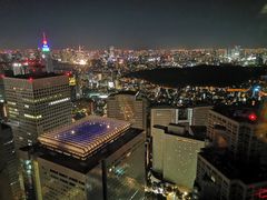 -东京都厅舍