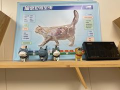-美联众合爱康动物医院•复杂内科•肿瘤科•牙科•腔镜诊疗中心