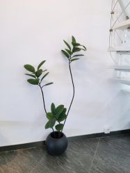 -丫丫NAIL日式自助美甲美睫沙龙