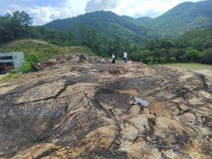 -广州白江湖森林公园