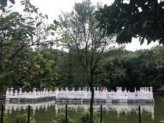 -珠海圆明新园