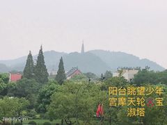 -青藤茶馆(凤起路店)