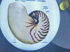 -海合安青岛极地海洋公园